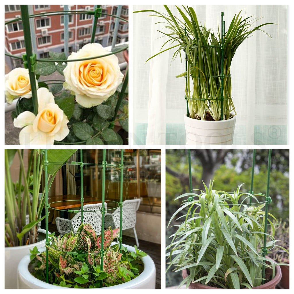 indoor plant trainer Plant Trainer 60cm &nbsp;90cm – Legion Warehouse